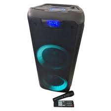 NESTY Professional System Speaker 60W RMS FK220